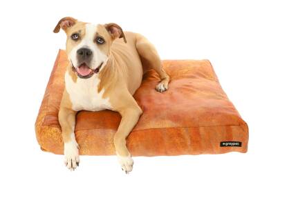 poduszka dla psa Greypet wzór rdza