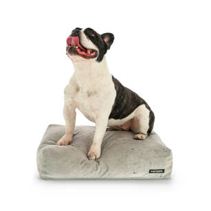 poduszka dla psa Greypet wzór jasny beton