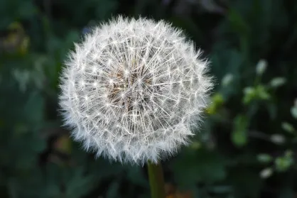 Má zmysel žehliť uteráky a posteľnú bielizeň v hoteli? Estetika verzus prax